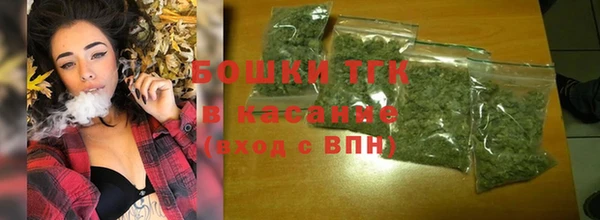 индика Богданович