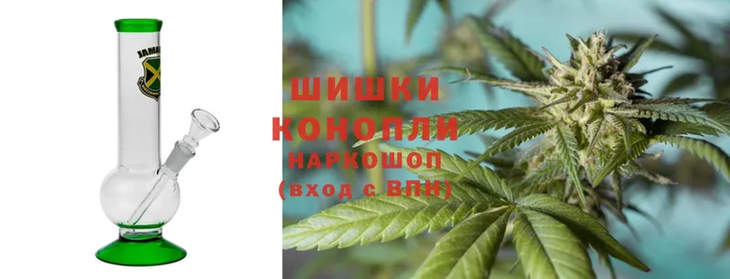 что такое   Гатчина  Канабис White Widow 